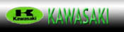 Sellerie KAWASAKI
